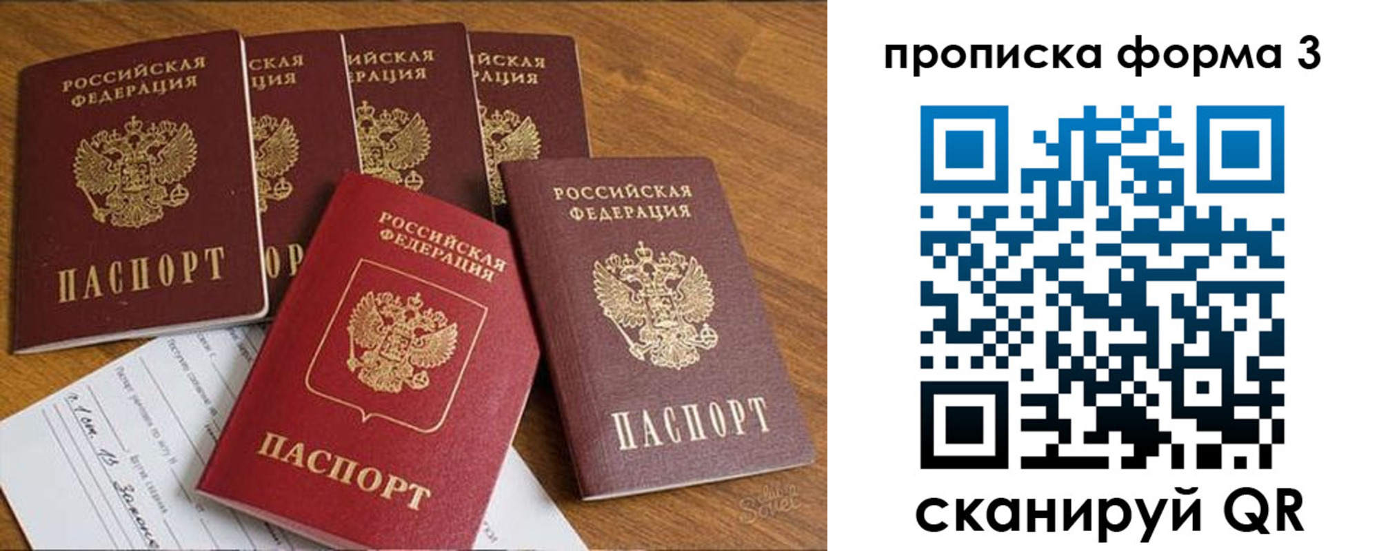 прописка 2025 в Камешково